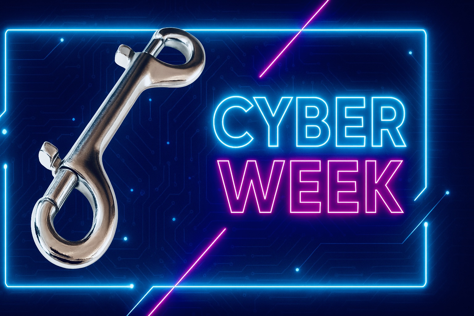 Cyber week