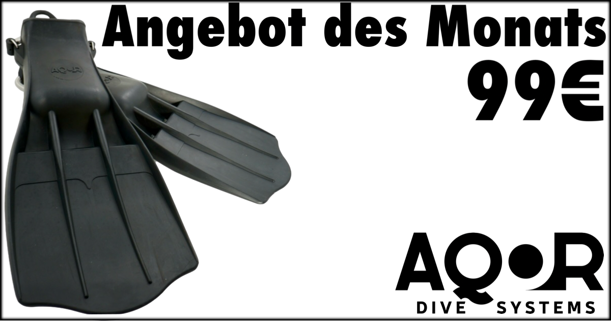 fin